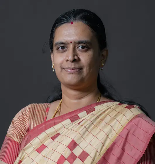 Vijaybhanu Perumalsamy